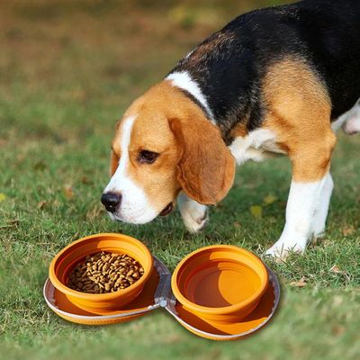 PetTribes Gamelle pliable et portable pour animaux - Silicone sans BPA