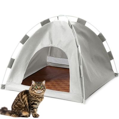 PetTribes Chat Confortable et Portable