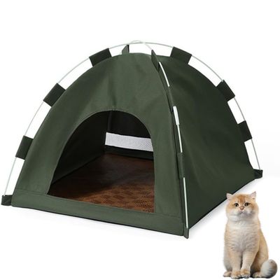 PetTribes Chat Confortable et Portable