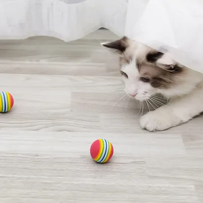 PetTribes 6 balles en mousse souple - Jouets pour chat/chien