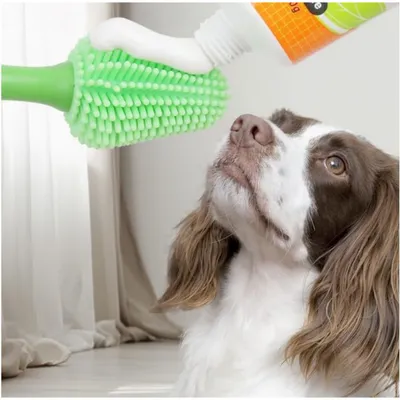 PetTribes Brosse à Dents 360° Chien