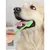 PetTribes Brosse à Dents 360° Chien