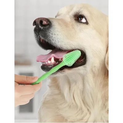 PetTribes Brosse à Dents 360° Chien