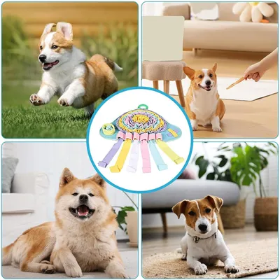 PetTribes Tapis de recherche de nourriture pour chien