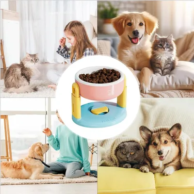 PetTribes Gamelle surélevée réglable - Protège colonne vertébrale