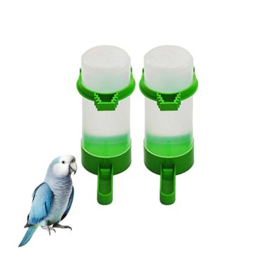 PetTribes Fontaine et mangeoire automatique pour oiseaux