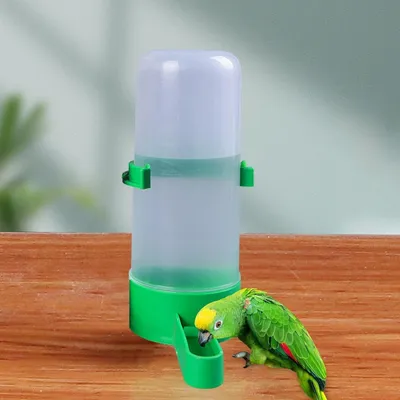 PetTribes Fontaine et mangeoire automatique pour oiseaux