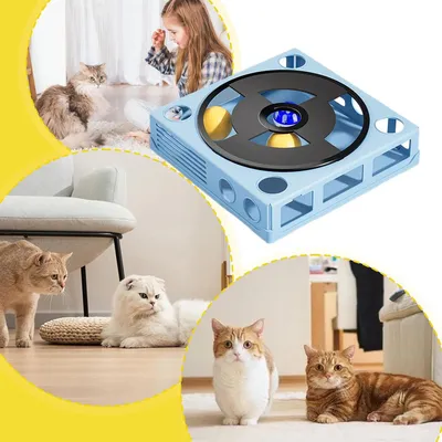 PetTribes Jouet Puzzle pour Chat Intelligent - Labyrinthe