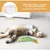 PetTribes Jouets Poisson à Cataire pour Chat - Lot de 3