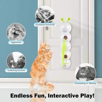 PetTribes Jouet Intelligent pour Chat d'Intérieur - USB