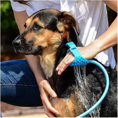 PetTribes Pomme de Douche Massante pour Chien - Intérieur/Extérieur