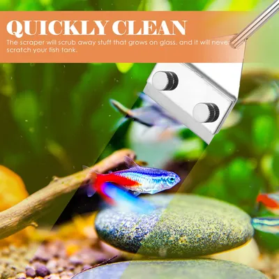 PetTribes Grattoir à Algues pour Aquarium - Long Manche Antidérapant