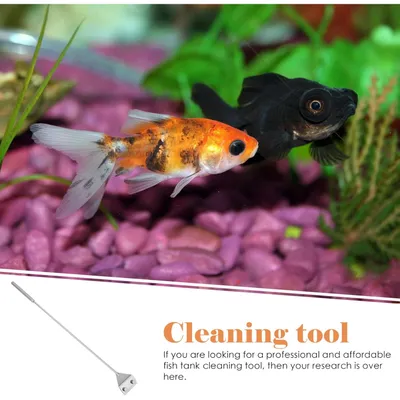 PetTribes Grattoir à Algues pour Aquarium - Long Manche Antidérapant