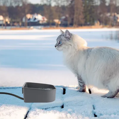 PetTribes Bol d'Eau Chauffant Anti-Gel - 1L pour Chats et Petits Animaux