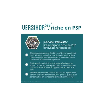 Osalia – Complément Alimentaire pour Chat – Versikor 500 Chews