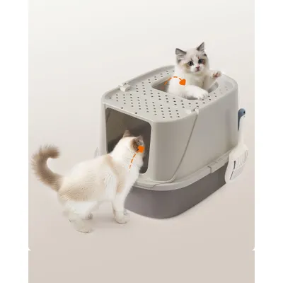 Feandrea Grand Bac à Litière pour Chatavec Pelle et Brosse Jusqu’à 15 kg