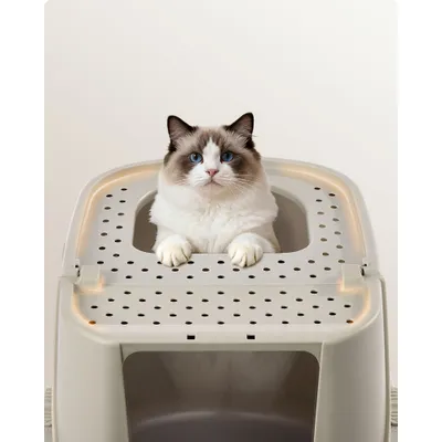 Feandrea Grand Bac à Litière pour Chatavec Pelle et Brosse Jusqu’à 15 kg