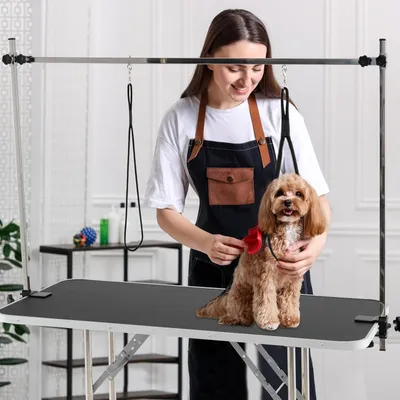 Giantex Höhenverstellbarer Klappbarer Haustierpflegetisch Für Hunde