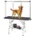 1 Table Toilettage pour Chiens
