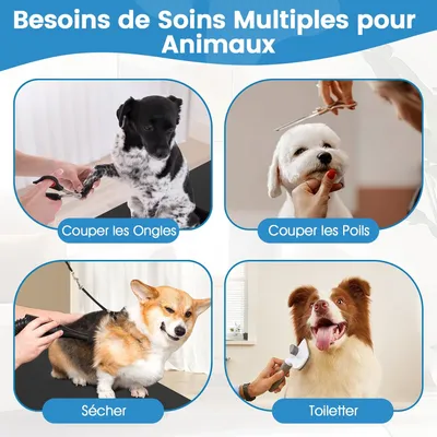 Giantex Table Toilettage pour Chiens Hauteur Réglable 150 kg