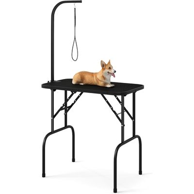 Giantex Table de Toilettage pour Chiens Antidérapante et Étanche