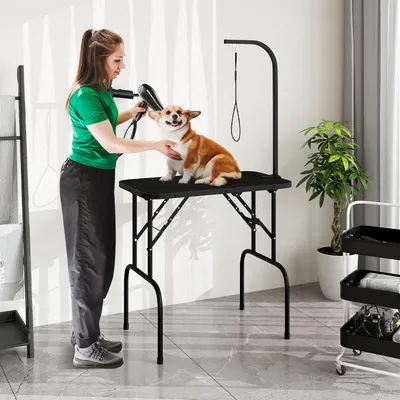 Giantex Table de Toilettage pour Chiens Antidérapante et Étanche
