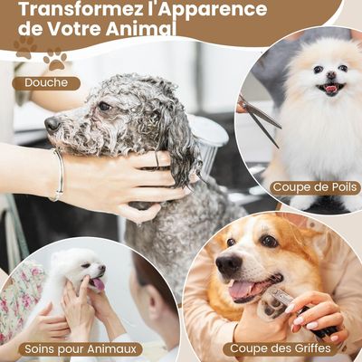 Giantex Table de Toilettage pour Chiens Antidérapante et Étanche
