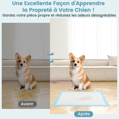 Giantex Alese Jetable Chien Séchage Rapide, Anti-Fuite,Tapis Éducateur