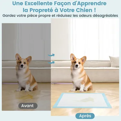 Giantex Alese Jetable Chien Séchage Rapide, Anti-Fuite,Tapis Éducateur