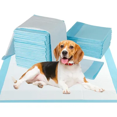 Giantex Alese Jetable Chien Séchage Rapide, Anti-Fuite,Tapis Éducateur