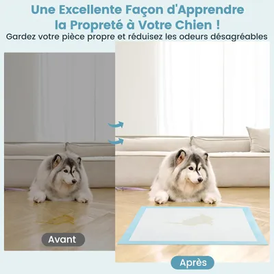 Giantex Alese Jetable Chien Séchage Rapide, Anti-Fuite,Tapis Éducateur