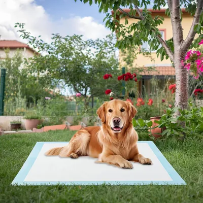 Giantex Alese Jetable Chien Séchage Rapide, Anti-Fuite,Tapis Éducateur