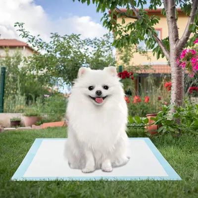 Giantex Alese Jetable Chien Séchage Rapide, Anti-Fuite,Tapis Éducateur