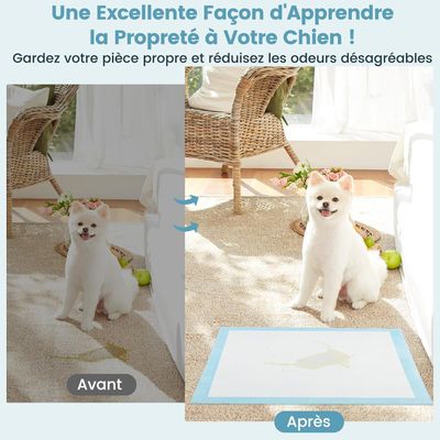 Giantex Alese Jetable Chien Séchage Rapide, Anti-Fuite,Tapis Éducateur