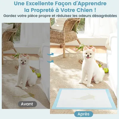 Giantex Alese Jetable Chien Séchage Rapide, Anti-Fuite,Tapis Éducateur