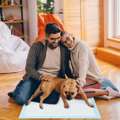 Giantex Alese Jetable Chien Séchage Rapide, Anti-Fuite,Tapis Éducateur