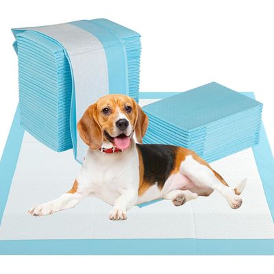 Giantex Alese Jetable Chien Séchage Rapide, Anti-Fuite,Tapis Éducateur