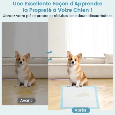 Giantex Alese Jetable Chien Séchage Rapide, Anti-Fuite,Tapis Éducateur