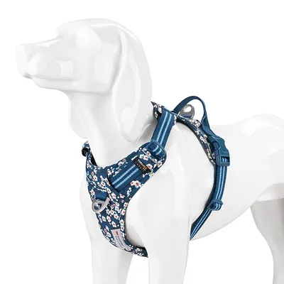 Harnais chien dressage anti traction & promenade TRUELOVE Country Plus + Sp