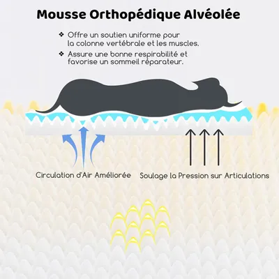Lit orthopédique en mousse pour chien GIANTEX avec fond antidérapant