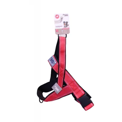 Mon Ami Luki - Harnais réfléchissant chien- forme y Mon Ami Luki - Harnais réfléchissant chien- forme y