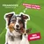 Mon Ami Luki - Friandises de récompenses - chiens- 3unitées vendues