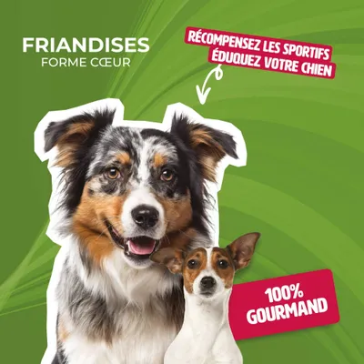 Mon Ami Luki - Friandises de récompenses - chiens- 3unitées vendues