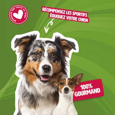 Lot de 3 - friandises de récompenses 200gr - chiens- 3unitées vendues