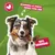 Lot de 3 - friandises de récompenses 200gr - chiens- 3unitées vendues