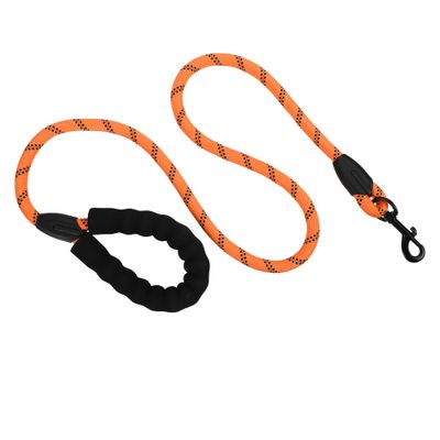 Mon Ami Luki - Laisse nylon réfléchissante