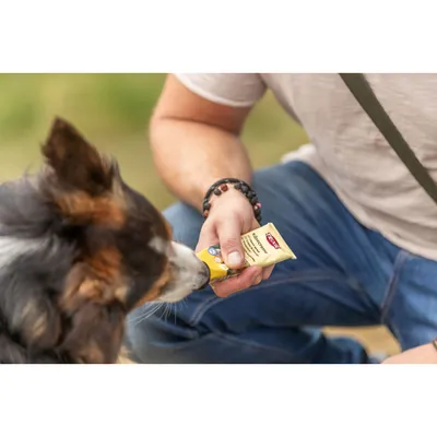 Trixie - friandise Crème de fromage tube de 75 g pour chien