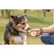 Trixie - friandise Crème de fromage tube de 75 g pour chien