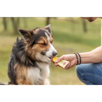 Trixie - friandise Crème de fromage tube de 75 g pour chien