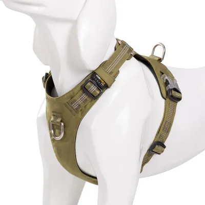 Truelove Colorado PLUS + Harnais chien dressage anti traction & promenade